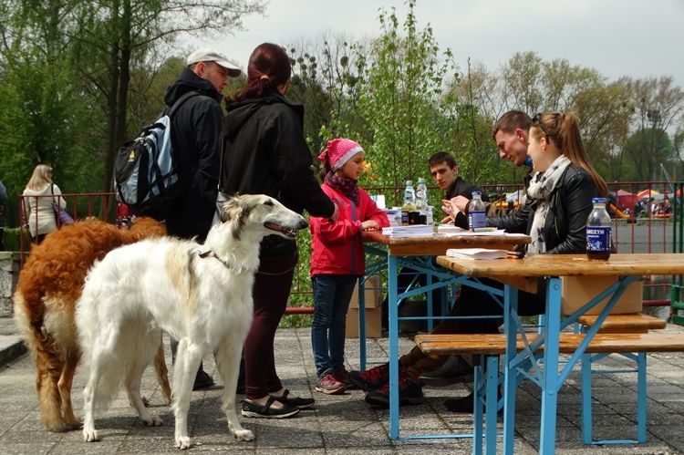 Wystawa psów rasowych w Kamieniu, Bartłomiej Furmanowicz