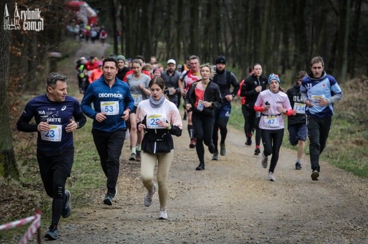 Lubisz biegać po lesie? „Kopernik” organizuje imprezę sportową na powitanie wiosny, Archiwum