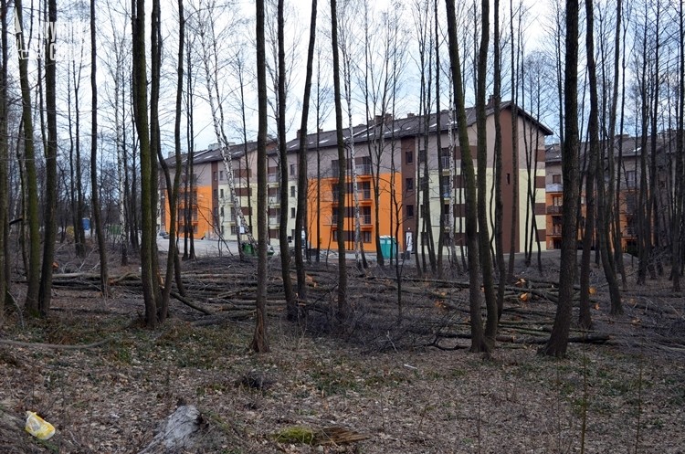 Na Paruszowcu-Piaskach zniknęła część lasu, Bartłomiej Furmanowicz