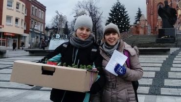 Licealistki z Rybnika wygrały ogólnopolski konkurs. W nagrodę pojadą na zagraniczną wycieczkę