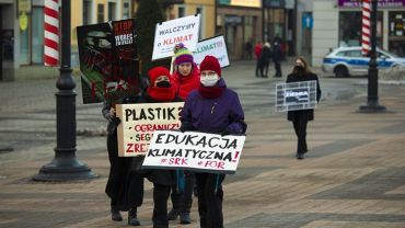Protest klimatyczny w Rybniku: jak czegoś nie zmienimy, to „zarżniemy” ten świat