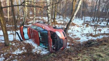 Mikołowska: samochód zatrzymał się na drzewie. W środku były dzieci