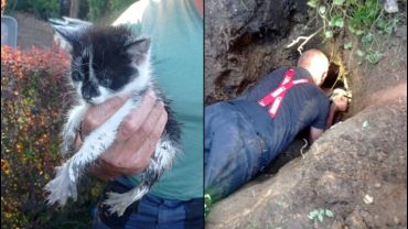 Czernica: strażacy uratowali kotka (zdjęcia)