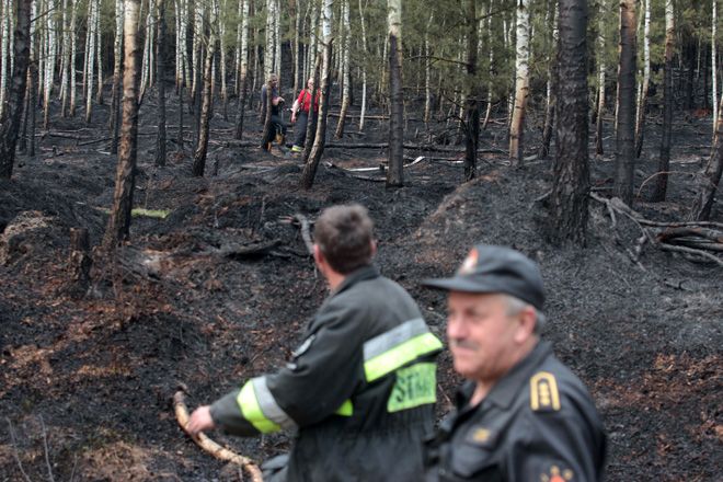Pożar lasu w Rudach Raciborskich, Dominik Gajda