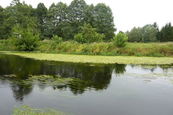 Zdjęcia z wakacji rybniczan 2014: spływ na rzece Wkrze, Czytelnik Łukasz