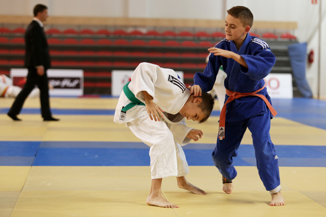 Judo: Silesia Cup 2015, 

Dominik Gajda
