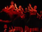 MDK: Powiatowy Konkurs Tańca