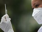 Świńska grypa: nie ma powodów do niepokoju