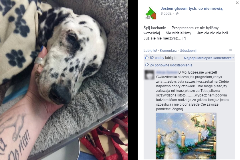 Gwiazdka przegrała walkę o życie, Facebook