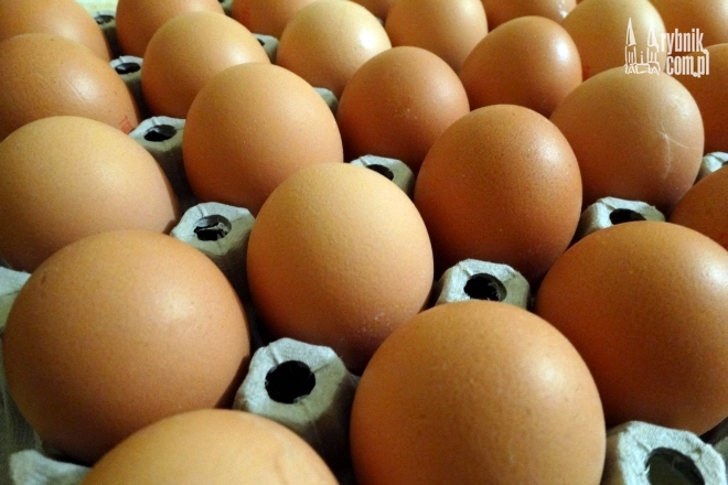W jajach z Żor odkryto trujące dioksyny. Przyczyna leży w smogu, bf
