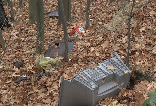 Ustawa śmieciowa w Rybniku: w lasach nadal zalegają śmieci, Marek Kasperek