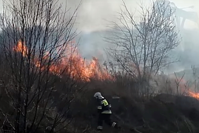 Jeden z internautów zarejestrował wczorajszy pożar trawy w Boguszowicach