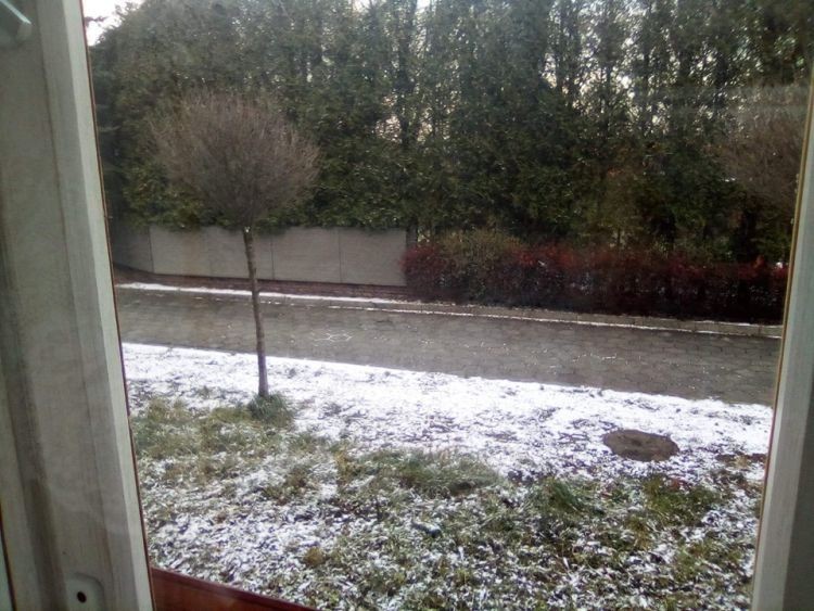 W Rybniku spadł pierwszy śnieg. Zdjęcia Czytelników, Czytelnicy