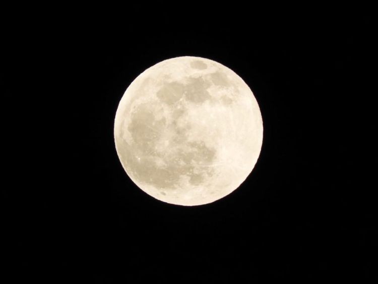 Śnieżny Księżyc nad Rybnikiem. Zdjęcia Czytelników, Czytelnicy