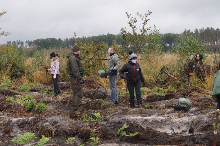 Fundacja z Rybnika zasadziła ponad 2 tys. drzewek, materiały prasowe