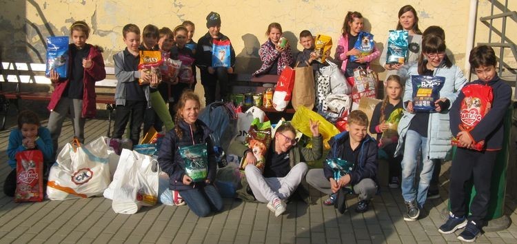 Akcje charytatywne w ZSU. Paczki trafiły do dzieci oraz czworonogów, ZSU w Rybniku
