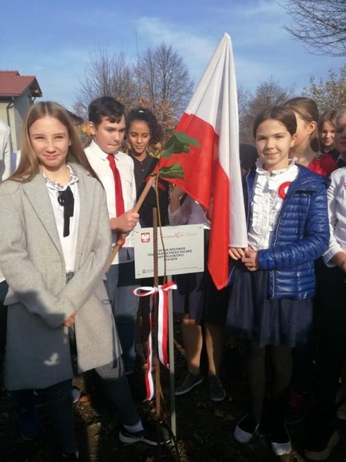 Posadzili drzewko na pamiątkę 100-lecia niepodległości, ZS-P nr 9 w Rybniku