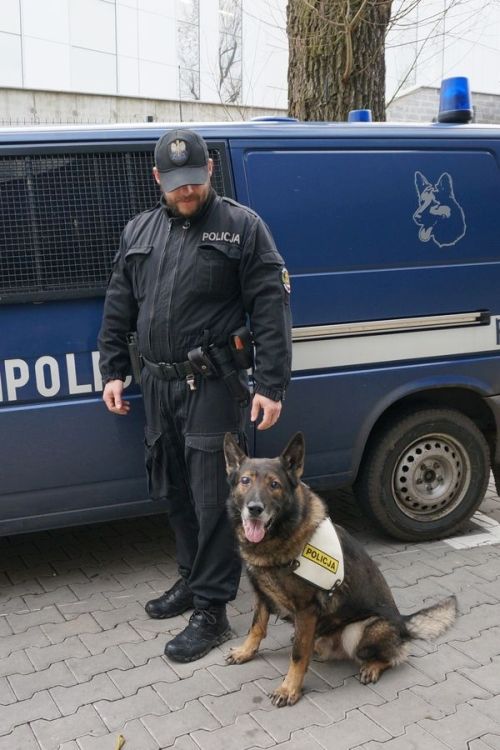 Szczęśliwy finał poszukiwań. Policyjny pies Bard odnalazł zaginionego, KMP w Rybniku