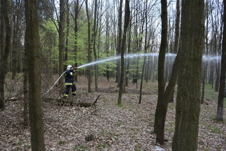 Czytelnicy alarmują: „strażacy jechali w stronę Rud. Czy pali się las”? To ćwiczenia, OSP Gaszowice