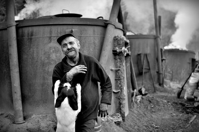 Konkurs fotograficzny „Kocham zwierzęta, bo...”, Tomasz Okoniewski