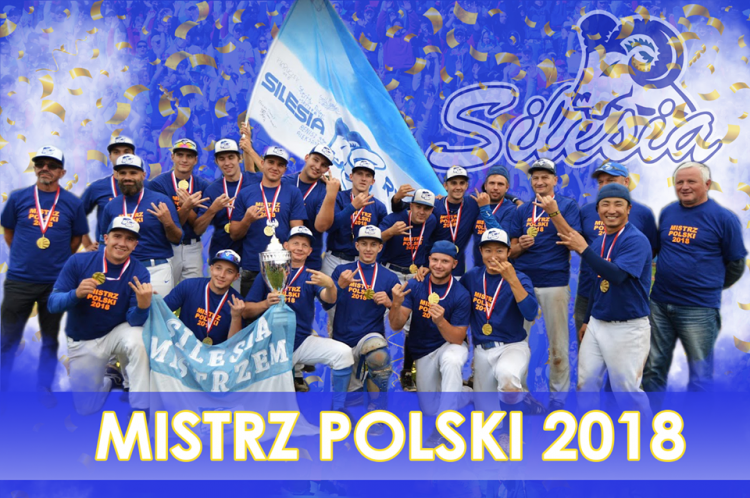Baseball: KS Silesia Rybnik ponownie mistrzem Polski, Facebook KS Silesia Rybnik