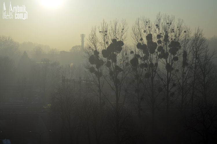 Smog w Rybniku: to była ciężka noc. Normy grubo ponad 1000%, bf