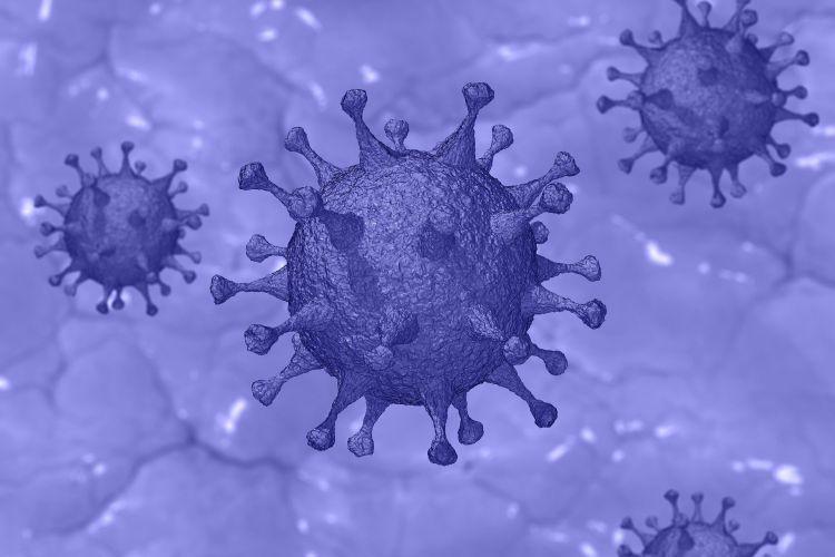 Nie żyje 71-latek z Rybnika zakażony koronawirusem, Pixabay