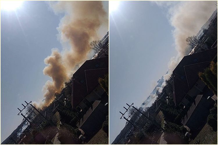 Kłęby dymu nad Paruszowcem. Co się stało? (wideo), Czytelnik