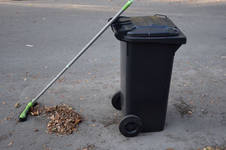 Nie kompostujesz odpadów? Miasto da ci pojemnik, Pixabay