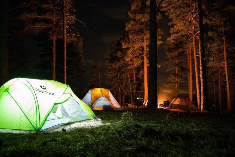 Chcesz nocować w lesie? To będzie legalnie możliwe!, Pixabay