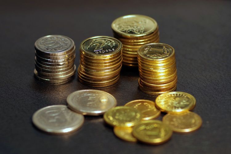 38 groszy – to najniższa emerytura wypłacana przez ZUS w Rybniku. Jaka jest najwyższa?, Pixabay