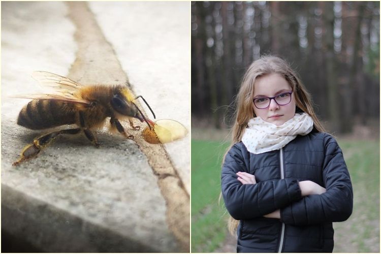 „Tatuś, reanimujemy ją!”. Agata uratowała pszczołę, Daniel Wojaczek