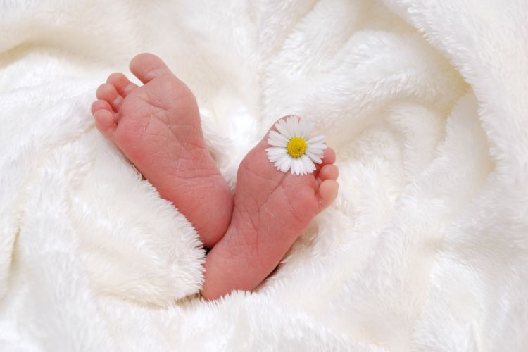 Mniej urodzeń i zgonów w Rybniku. Mamy dane za 2021 rok, Pixabay