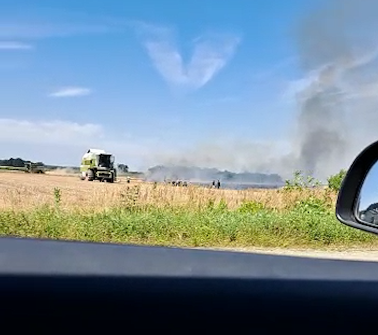 Pożar na trasie do Rybnika. Palił się kombajn i 20 ha pola (wideo), Czytelnik