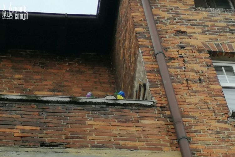 Dlaczego kobieta wypadła z balkonu na Kościuszki? Sprawę przejęła prokuratura, ld