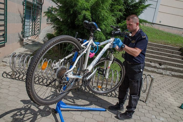 Strażnicy rozpoczną akcję znakowania rowerów. Syntetycznym DNA, Archiwum