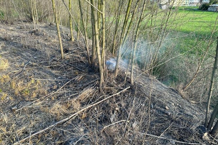 Dymi z hałdy w Czerwionce-Leszczynach. „Ludzie nie mogą siedzieć w ogrodzie”, materiały nadesłane