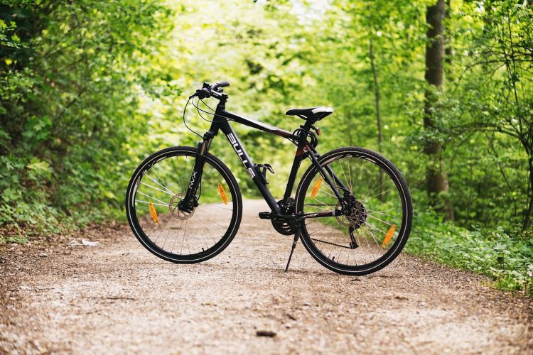 Dziś Światowy Dzień Roweru. Znasz wszystkie trasy rowerowe w Rybniku?, Pixabay