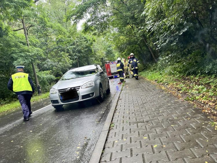 Sportowa: na samochód spadł konar drzewa, Informacje drogowe 24H z powiatu Wodzisław Śląski, Rybnik