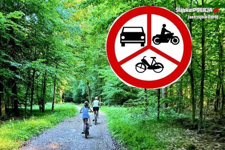 500 zł kary za poruszanie się silnikowcem po lesie, KMP Jastrzębie - Zdrój