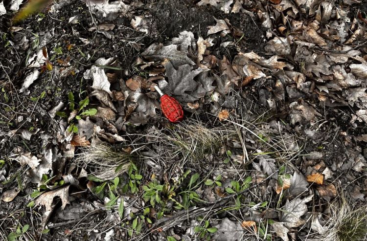 Dzieci szukały „zajączka”, znalazły granat. Do Kamienia przyjechali kontrterroryści z Katowic, Kamień - Stein - Kamiyń/FB