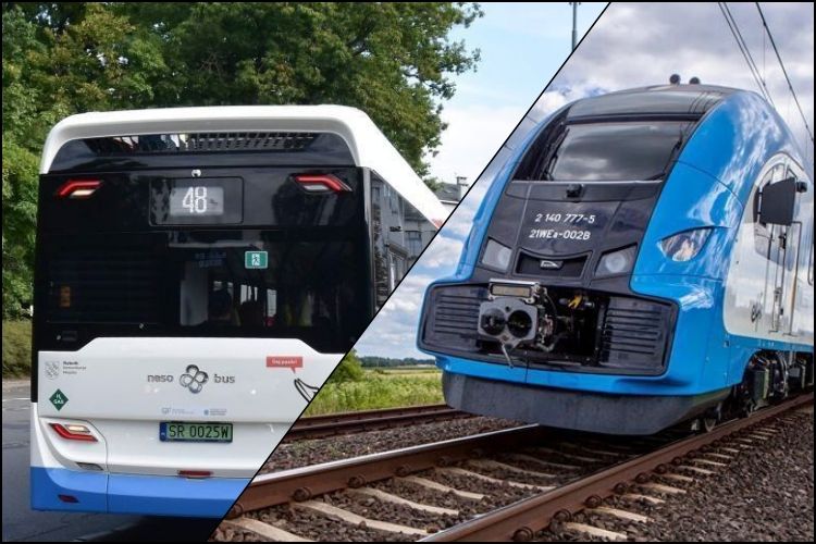Dziś Światowy Dzień Bez Samochodu. Autobusy jeżdżą za darmo, pociągi za złotówkę, 
