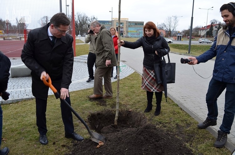 Tysiąc drzew dla Rybnika. Prezydent zasadził w parku platana, Bartłomiej Furmanowicz