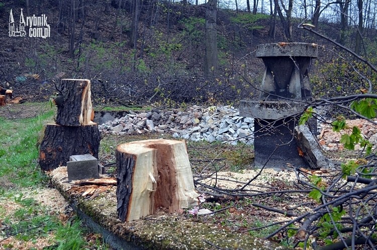 Zniknęły stare drzewa przy dawnym kinie Hutnik. Właściciel: bo zagrażały mieszkańcom, Bartłomiej Furmanowicz