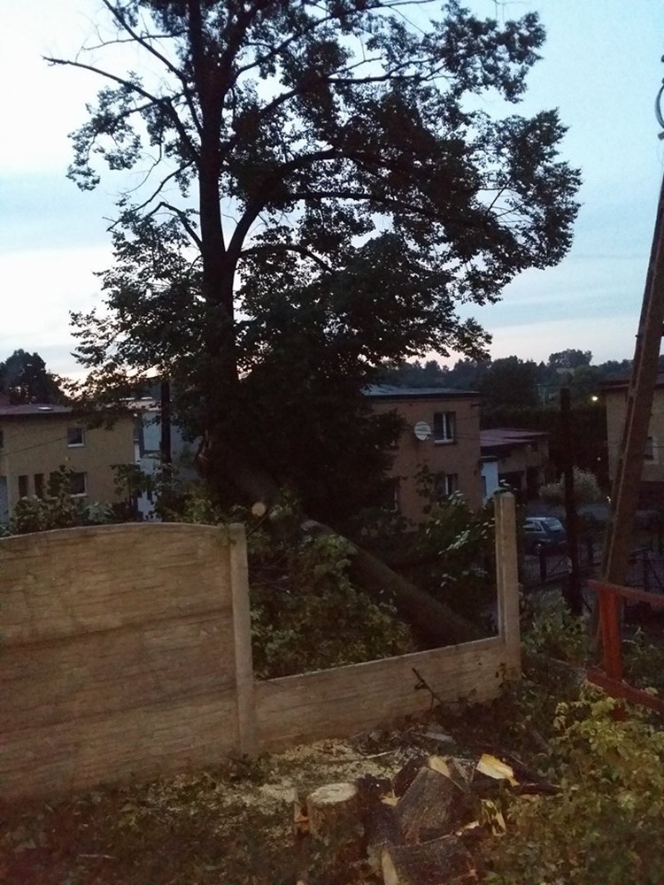 Nawałnica nad regionem. Powalone drzewa, zerwane dachy, brak prądu, Czytelnicy