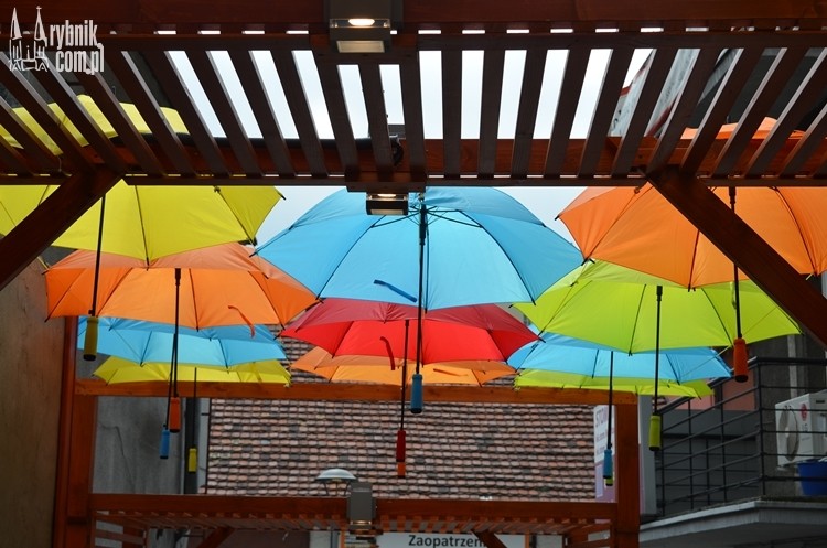 Co za widok! Dróżkę prof. Libury zdobią kolorowe parasole, Bartłomiej Furmanowicz