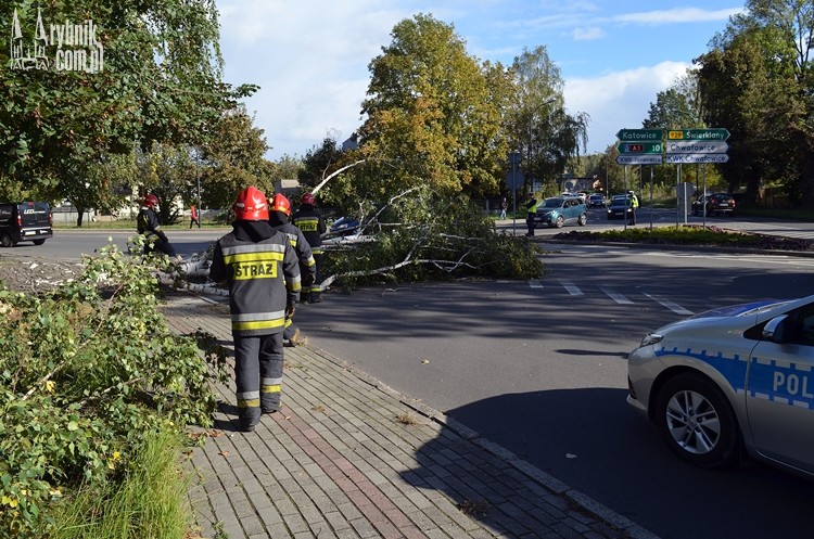 Rondo Kamyczek: na drogę przewróciło się drzewo, Bartłomiej Furmanowicz