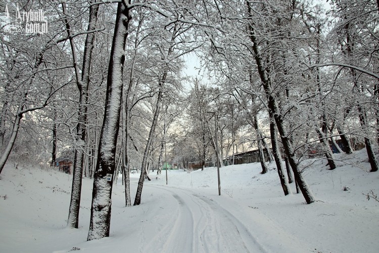 Zimowy spacer wokół tężni. Jest pięknie!, Bartłomiej Furmanowicz