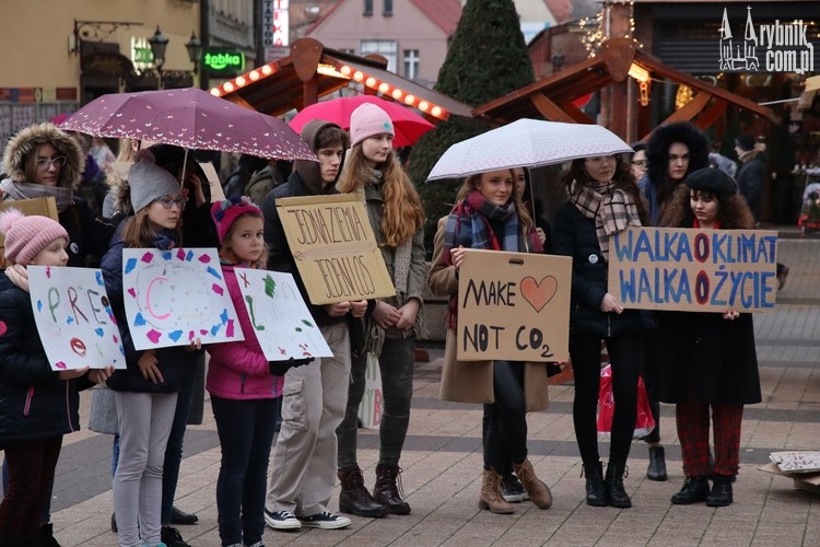 Młodzieżowy Strajk Klimatyczny. Zdjęcia, Alicja Mańka