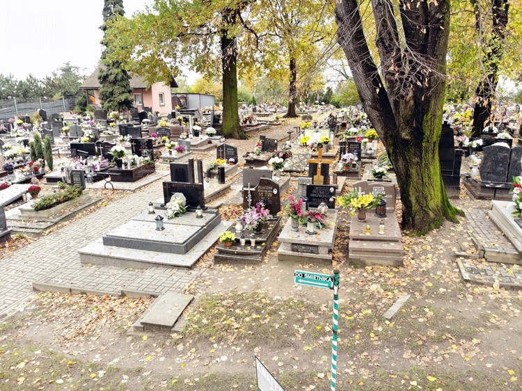 Wszystkich Świętych 2020: na cmentarzu przy Rudzkiej pustki, Bartłomiej Furmanowicz